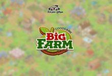 صورة تحميل لعبة المزرعة الكبيرة | تنزيل لعبة Big Farm للكمبيوتر بحجم خفيف